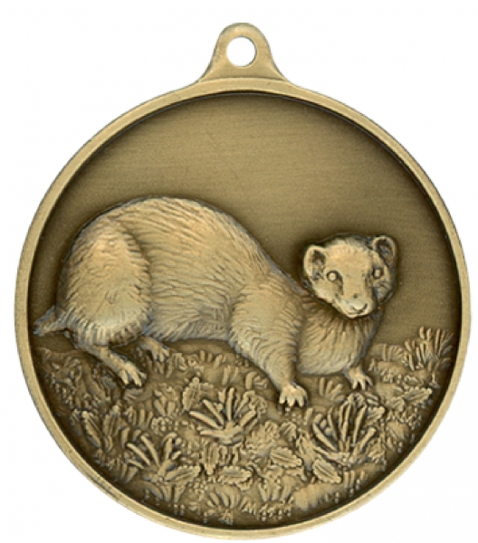 Jagdmedaille (Iltis)